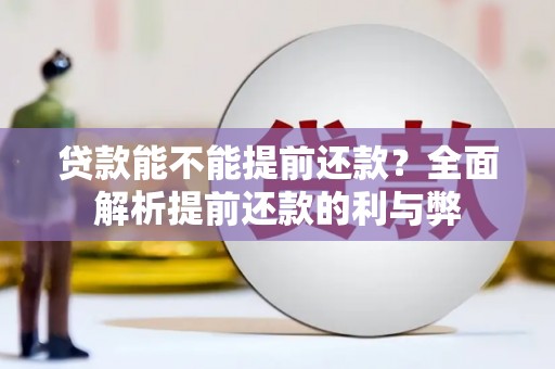 平阳贷款能不能提前还款？全面解析提前还款的利与弊