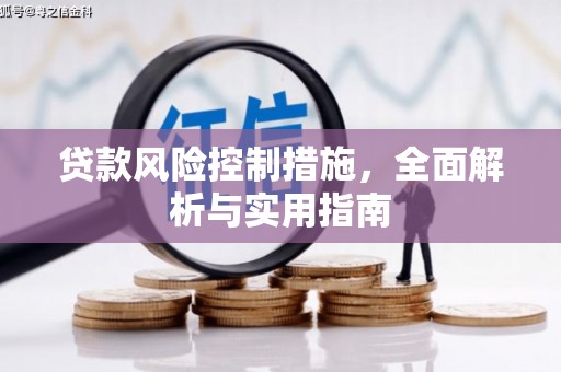 平阳贷款风险控制措施，全面解析与实用指南