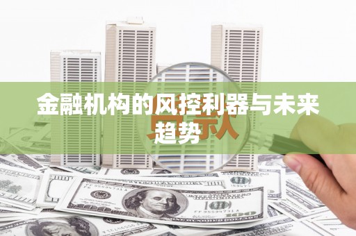 平阳金融机构的风控利器与未来趋势