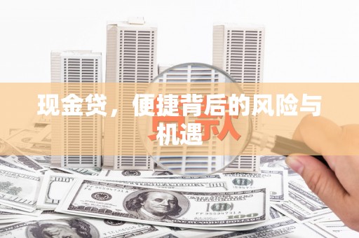 平阳现金贷，便捷背后的风险与机遇