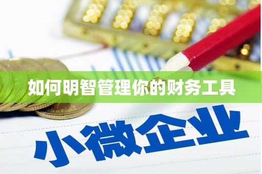 平阳如何明智管理你的财务工具