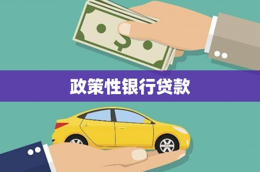 平阳政策性银行贷款