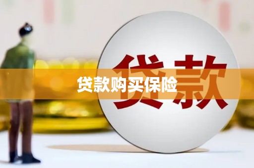 平阳贷款购买保险