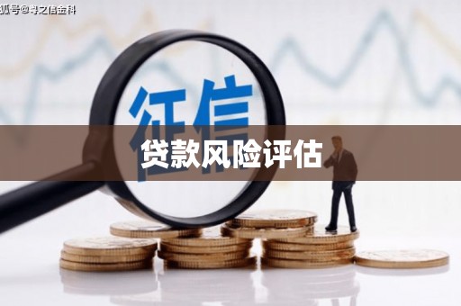 平阳贷款风险评估