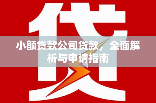 平阳小额贷款公司贷款，全面解析与申请指南