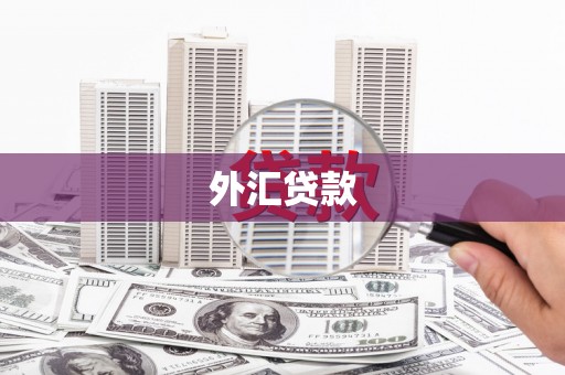 平阳外汇贷款