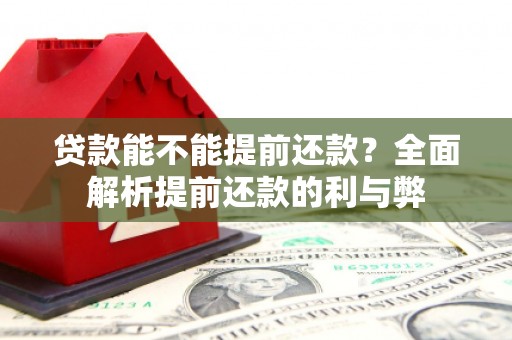 平阳贷款能不能提前还款？全面解析提前还款的利与弊