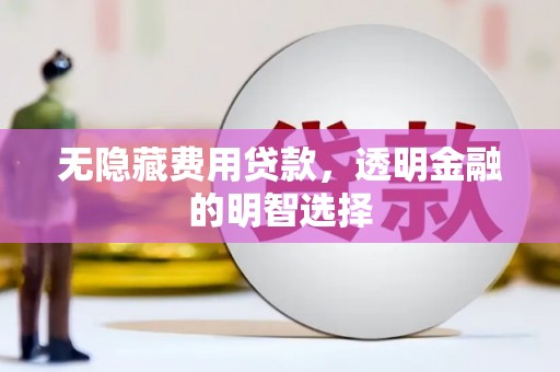 平阳无隐藏费用贷款，透明金融的明智选择