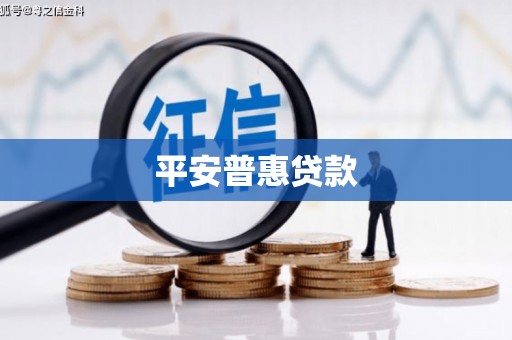 平阳平安普惠贷款