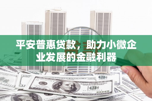 平阳平安普惠贷款，助力小微企业发展的金融利器