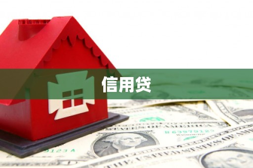 平阳信用贷