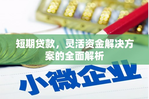 平阳短期贷款，灵活资金解决方案的全面解析