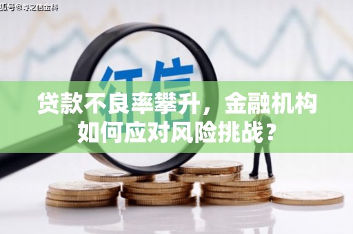 平阳贷款不良率攀升，金融机构如何应对风险挑战？