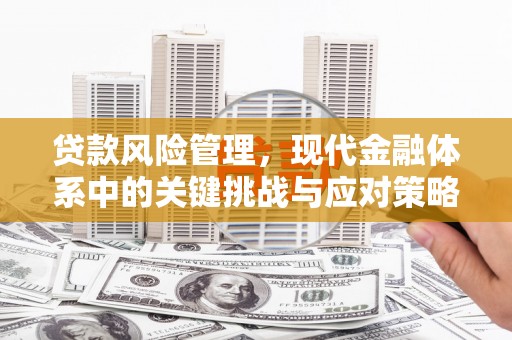 平阳贷款风险管理，现代金融体系中的关键挑战与应对策略