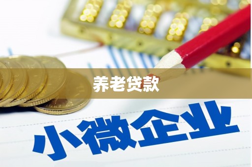 平阳养老贷款