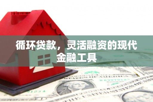 平阳循环贷款，灵活融资的现代金融工具