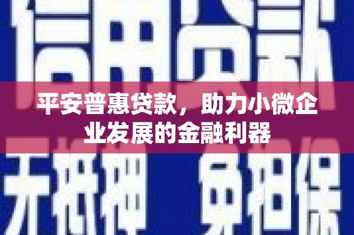 平阳平安普惠贷款，助力小微企业发展的金融利器