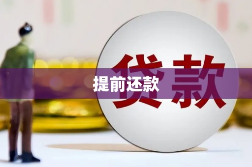 平阳提前还款