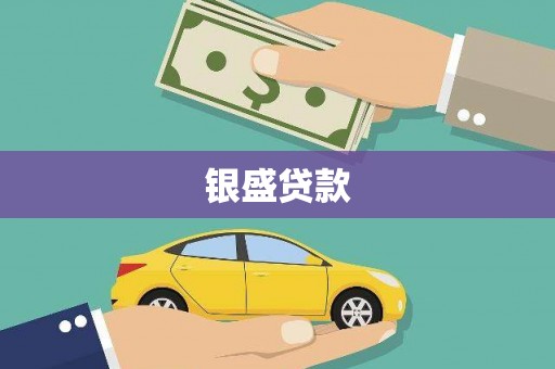 平阳银盛贷款