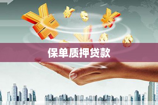 平阳保单质押贷款