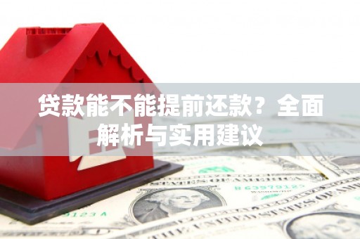 平阳贷款能不能提前还款？全面解析与实用建议