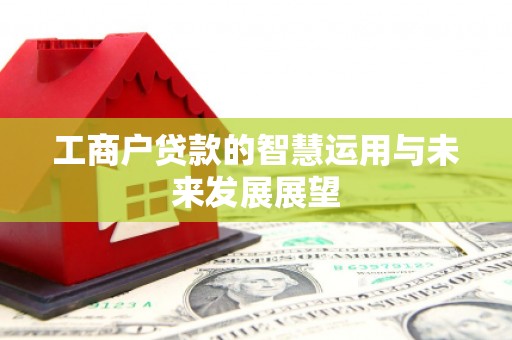 平阳工商户贷款的智慧运用与未来发展展望