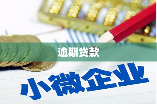 平阳逾期贷款